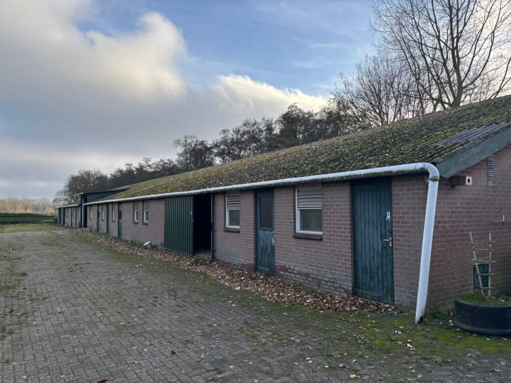 DUX Real Estate