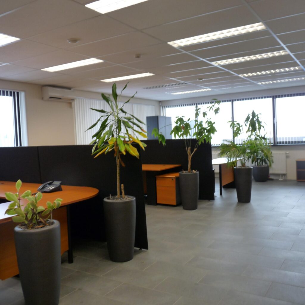 Kasteleinenkampweg 11 A ‘s-hertogenbosch
